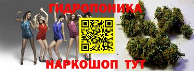кокс Тара